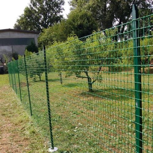 Set 5 Paletti a T per Recinzione in Acciaio Plasticato VERDE o in Acciaio  ZINCATO per Sostegno Reti Recinzione Giardino Terreni Aiuole Orti Proprietà